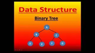 Binary Tree in Data Structure | Binary Tree in Hindi