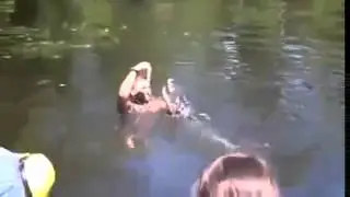 Купание крокодила и человека.