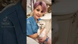 Мой антидепрессант