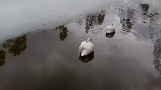 [Хоз урдак 2024 г](2)