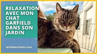 RELAXATION AVEC MON CHAT GARFIELD - ZEN DANS SON JARDIN