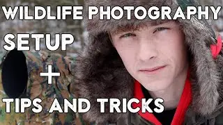 Wildlife Photography Setup and Tips and Tricks (Nikon D500 +Nikon 200-500mm)