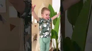 0490 тропический лес