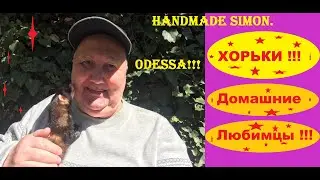 Handmade Simon.Мои домашние любимцы!!!