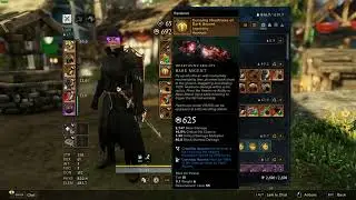 Perfect New World Assassin Build – Hatchet & SnS!