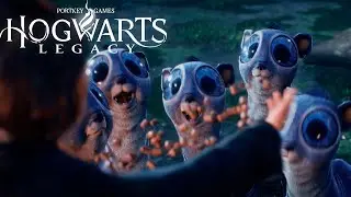 🍪 НАШЛА ЛУНТЕЛЁНКА ПЕЧЕНЬКУ | ПРОХОЖДЕНИЕ HOGWARTS LEGACY