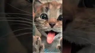 REAL CAT IN YOUR PHONE 🙀