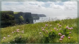 Beautiful Ireland ♡ Down By The Sally Gardens ♡  Irish Celtic folk song *❀*