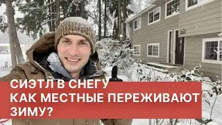 СИЭТЛ В СНЕГУ. КАК МЕСТНЫЕ ПЕРЕЖИВАЮТ ЗИМУ?