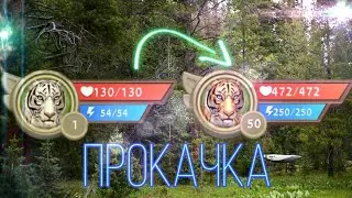 {WildCraft} прокачка тигра до 50 лвла|