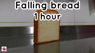 Falling bread | 1 hour