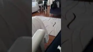 Fazılla gizli kamera şakası