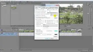 Sony Vegas Tutorial How to Show all Video Frames Thumbnails