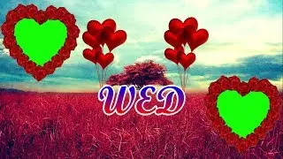wedding green screen | hd nature green photo wedding background effect | ab green vfx