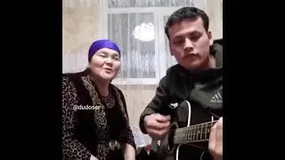 жёлтые тюльпаны. лучшее исполнение