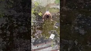 случай в заброшенном тюремном дворе