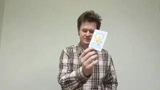 Таро прогноз для Тельцов на декабрь