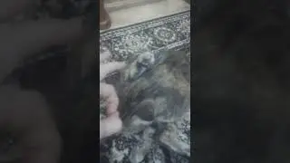ты чё охренел?