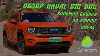 🚗 Обзор кроссовера Haval Big Dog (Dargo) | Тест-драйв Haval Dagou