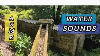 ASMR En la Naturaleza | ASMR MUY RELAJANTE 😴😴 (Water Sounds) 💦