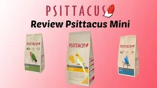 Review Psittacus mini pienso - Aviario Diario