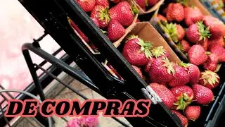 MIREN este TELEVISOR de REGALO en PLENA CALLE /Stephanie va al MERCADO cuando yo SALGO de ALLI