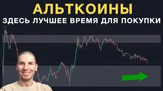 Лучшее время для покупки альткоинов