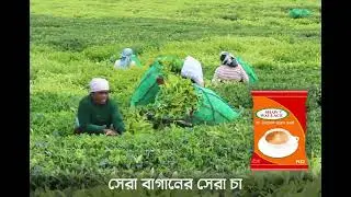 Shaw Wallace Tea