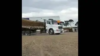Cabelo Batateiro 16vintão vídeo para status