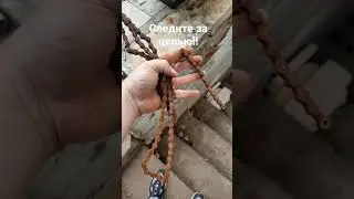 ТАК ПРИЕЗЖАЮТ ЦЕПИ