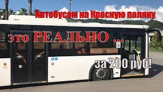 Как на автобусе попасть на Красную Поляну менее чем 200 рублей