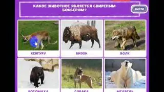 ОТВЕТЫ игра "В мире животных-2" 21, 22, 23, 24, 25, 26, 27, 28, 29, 30 уровень. одноклассники.