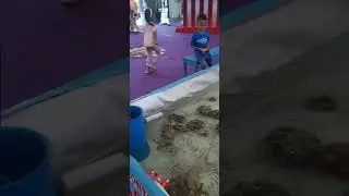 Air MANIA mantaP