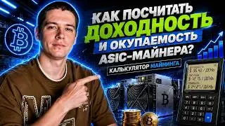 Как ПОСЧИТАТЬ доходность и окупаемость ASIC за 3 минуты?