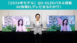 2024年 最新の4K有機ELテレビをご紹介！