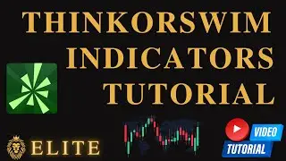 How to Add Indicators on Thinkorswim