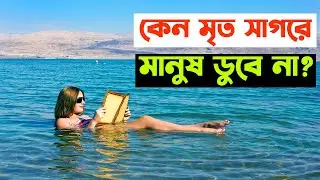 মৃত সাগর । Dead Sea । মৃত সাগর কি?  এখানে কেন মানুষ ভেসে থাকে ? Why Does Everyone Float In Dead Sea?