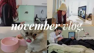 NOVEMBER VLOG | gaming, mental health, meet daisy, pr unboxing, work days & more.