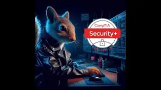 Hacktivist Squirrel attempts the CompTIA SY0-701 Practice Exam