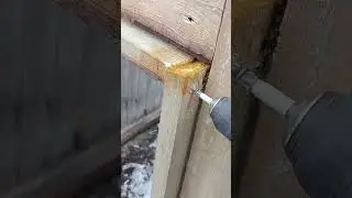 Куриный вольер. Разборный.