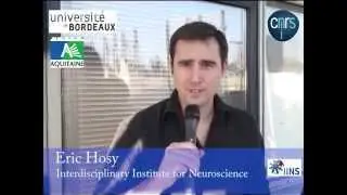Daniel Choquet: "Des récepteurs qui bougent énormément  ! " Bordeaux Neurocampus