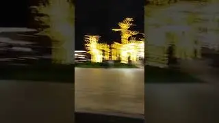 Xorazm lik bola