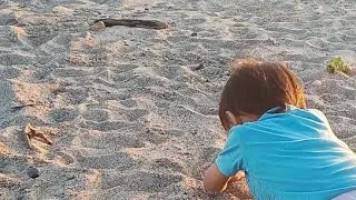 Tangkap kepiting di pantai seru banget