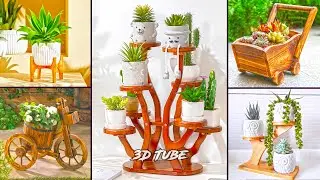 Top Indoor Plant Stand Design Ideas | Planter Stand for Indoor Plants (Succulent Plant Pot)