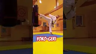 🔝YOKO-GERI