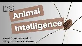 Weird Communication