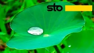 Умные фасады Lotusan от Sto. Принцип работы 