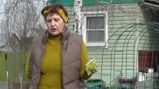 Метаризин поможет в борьбе с насекомыми вредителями