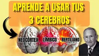 ¿POR QUÉ ACTUAMOS ASÍ? ✅La Teoría del Cerebro Triuno Te Lo Explica😯