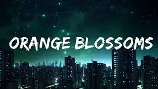 1 Hour |  Goldford - Orange Blossoms (Lyrics)  | Melodi Lyrics